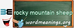 WordMeaning blackboard for rocky mountain sheep